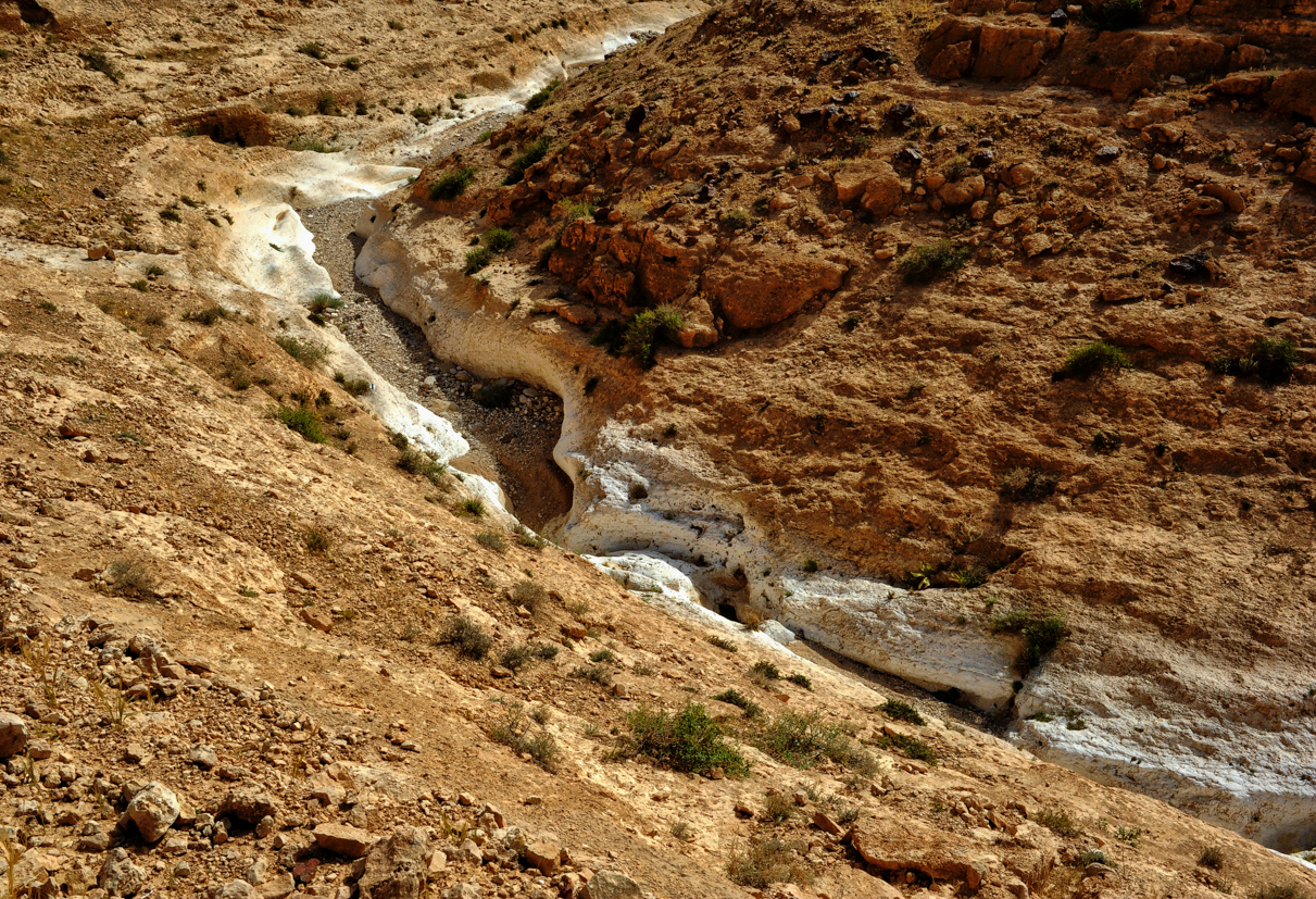 Image 15